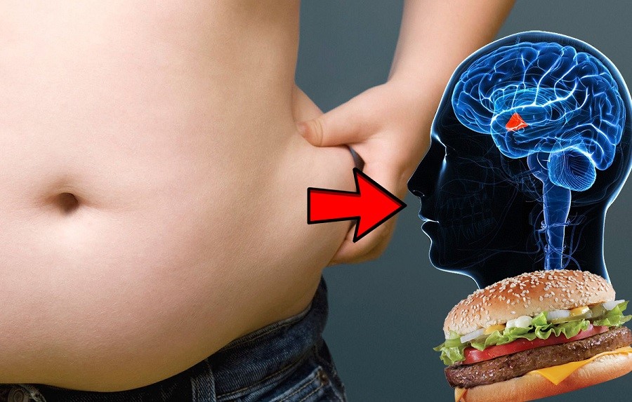 Grasimea iti afecteaza memoria. Ce alimente au reactii adverse asupra creierului
